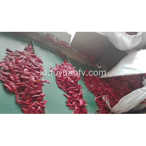 Bubuk paprika dijual